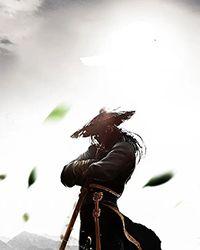 水莲花尽木莲开